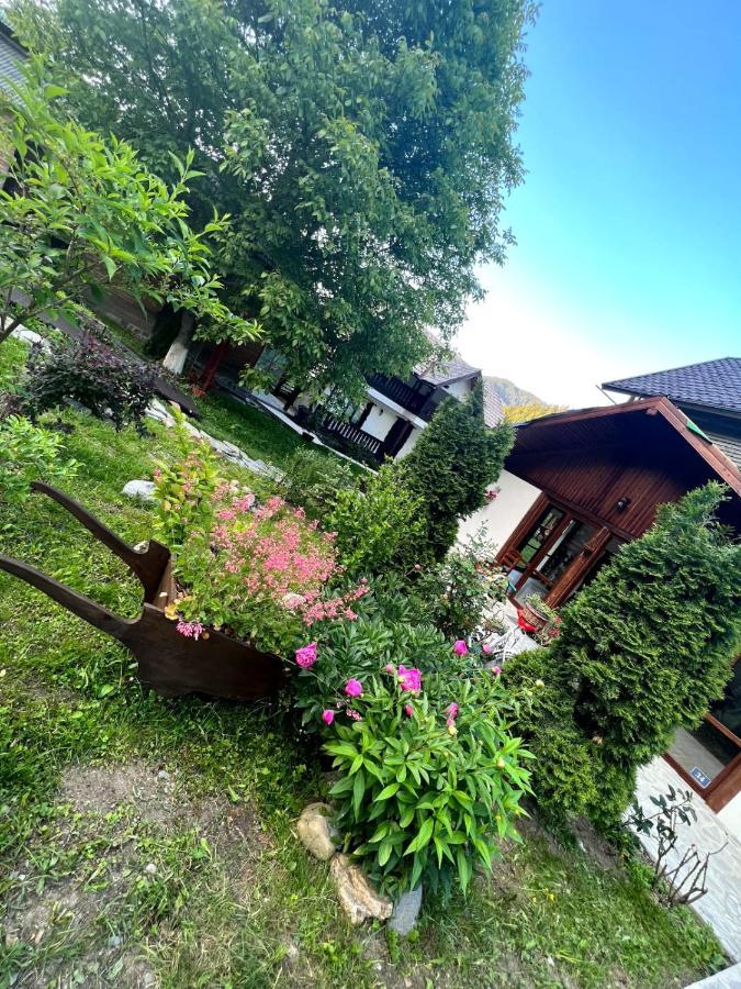 Pensiunea Bradet Brosteni Exterior foto