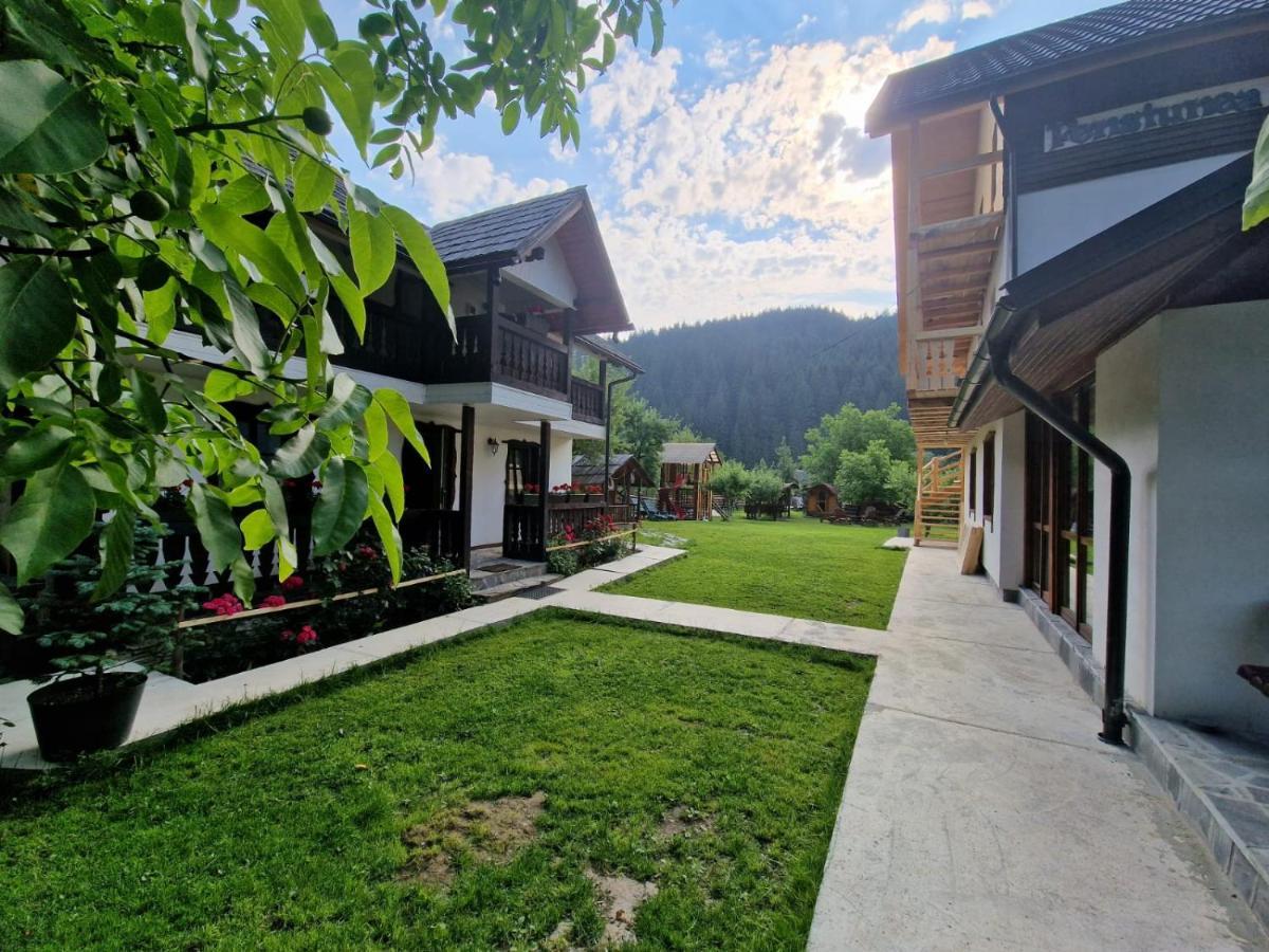 Pensiunea Bradet Brosteni Exterior foto